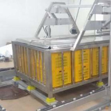 Mango Hot Water Treatment Machine