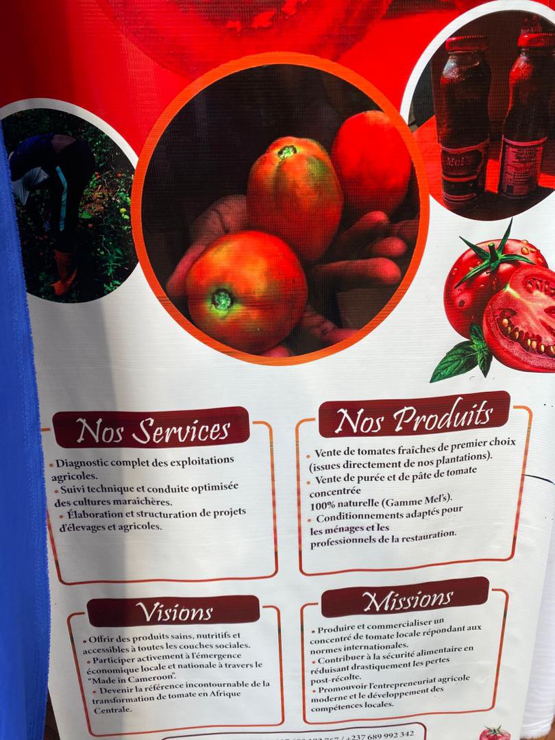MEL TOMATE