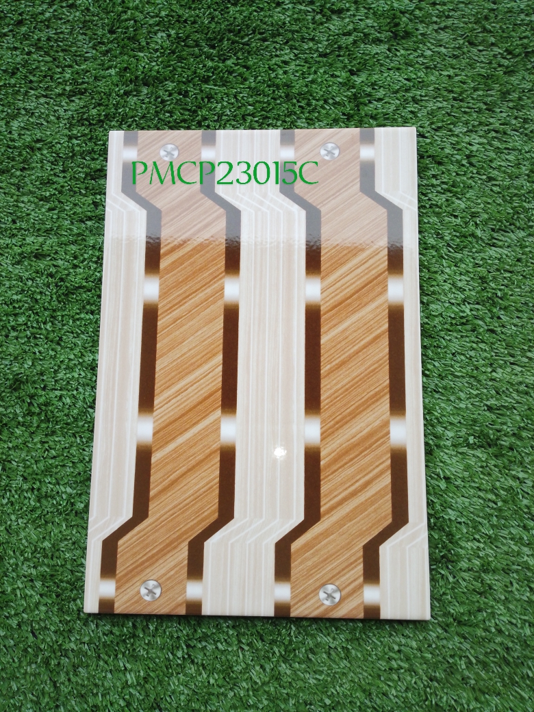 Decorative Wall Tile PMCP23015C 20x30cm