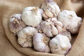 GARLIC IN 100KG BAGS