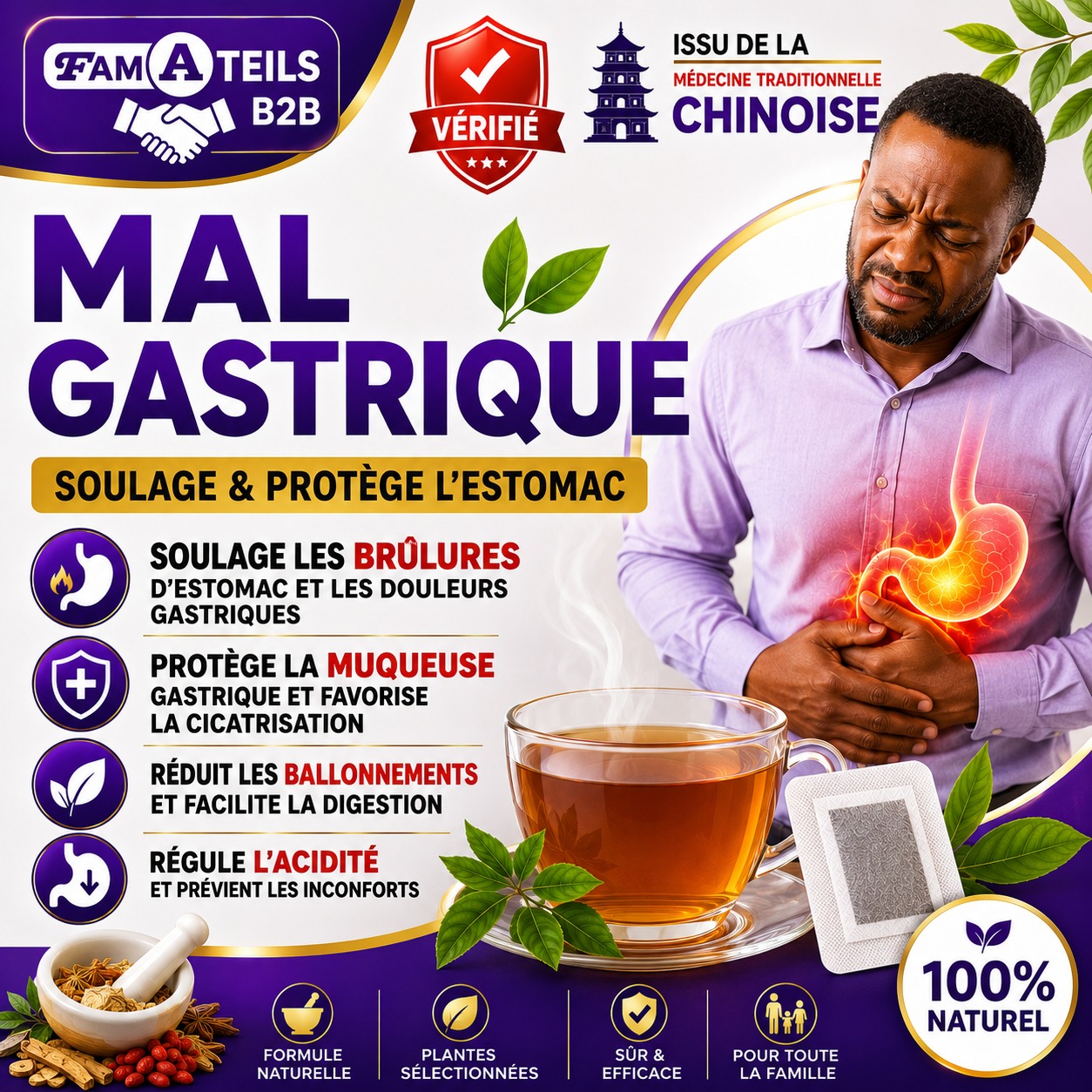 TISANE MAL GASTRIQUE