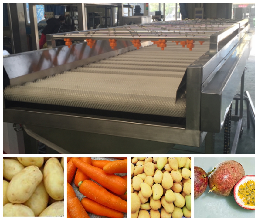 Fruit and vegetable washing machine