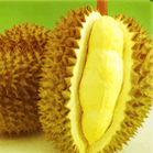 Durian