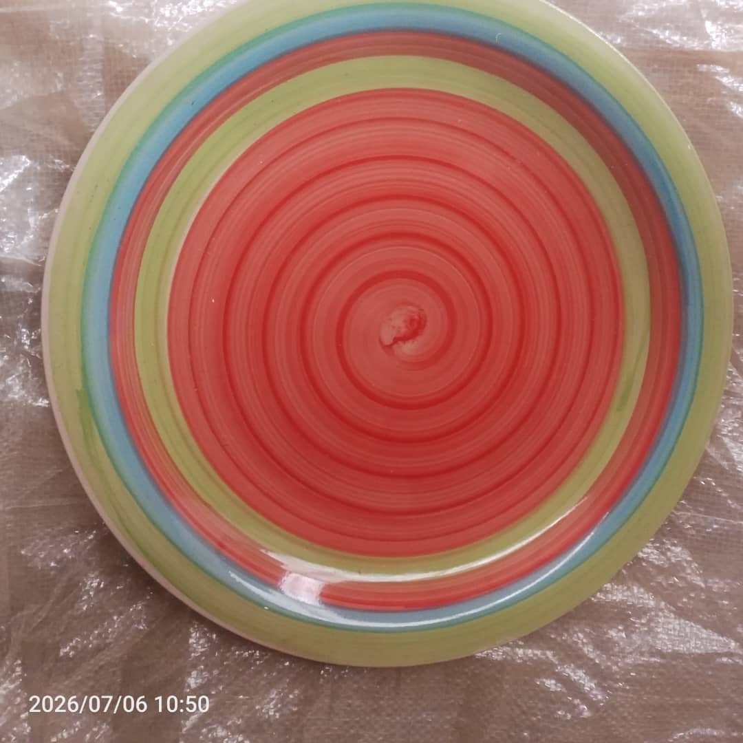 carton of 30 large plate 10.5 inch