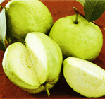 Guava