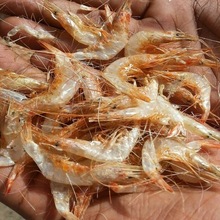 Dry Prawn
