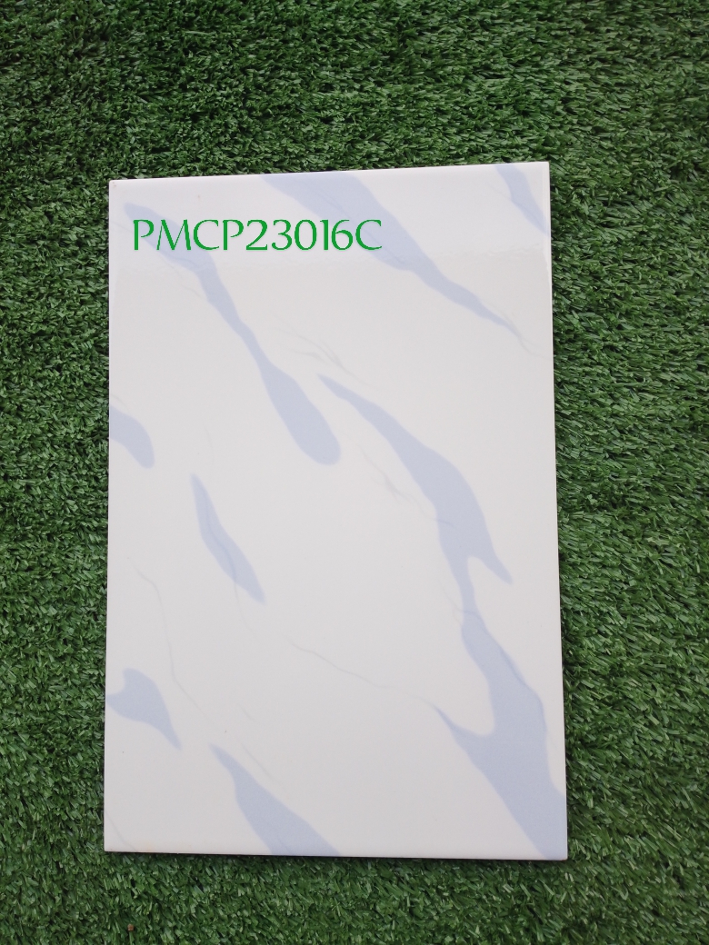 Decorative Wall Tile PMCP23016C20x30cm