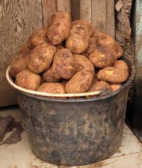 SEAU DE PATATE 15L