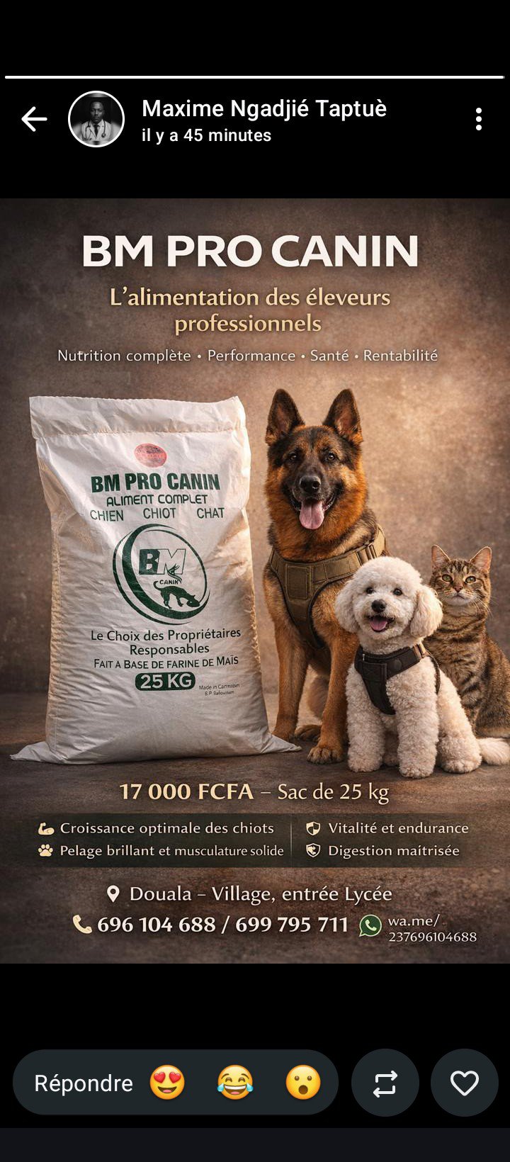 Alimentation pour animaux
