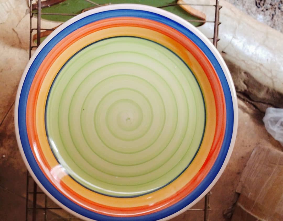 carton of 30 large plate 10.5 inch