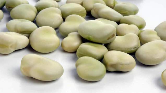  Broad Beans