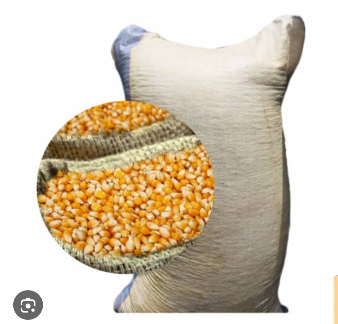 01 Sac de mais blanc