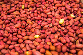 RED PEANUTS IN 100KG BAGS