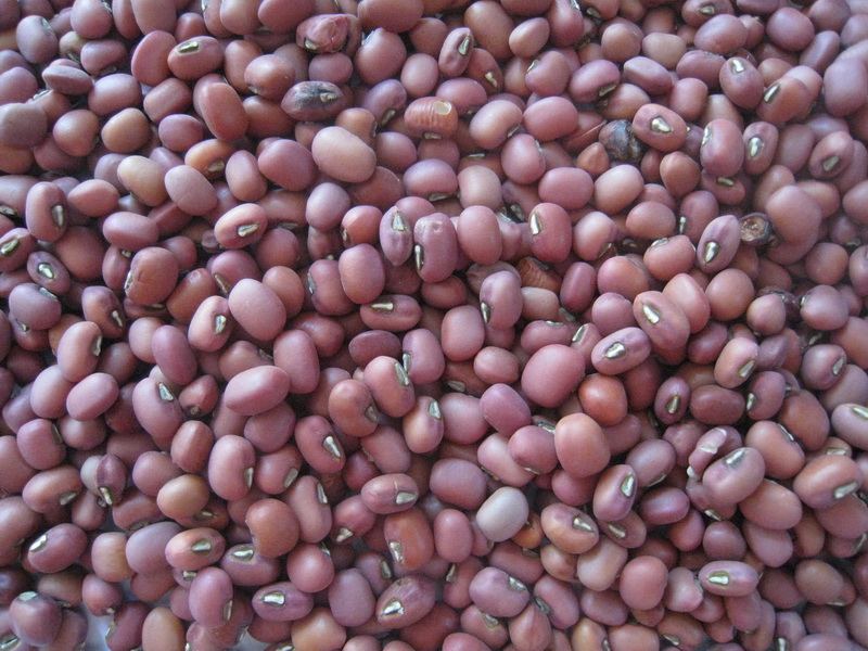 BEANS