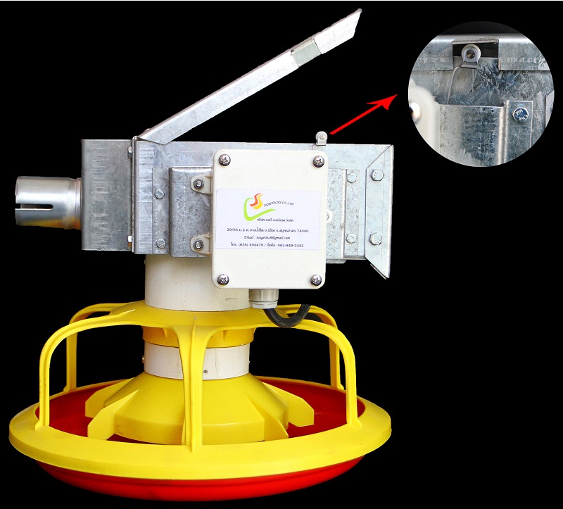 Automatic chicken feeding system