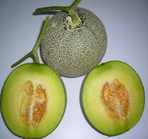 Japan Melon