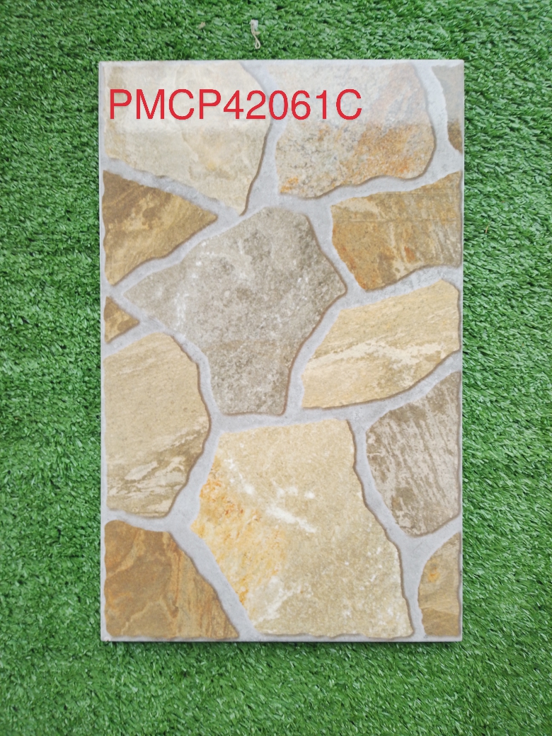 Decorative Wall Tile  PMCP42061C