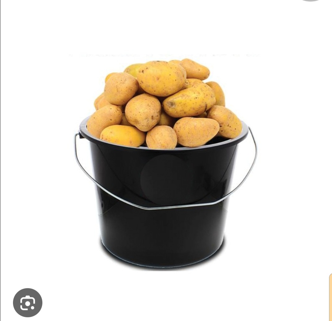 01 Seau de pomme de terre 10L