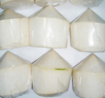 Young Coconut
