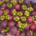 Mangosteen