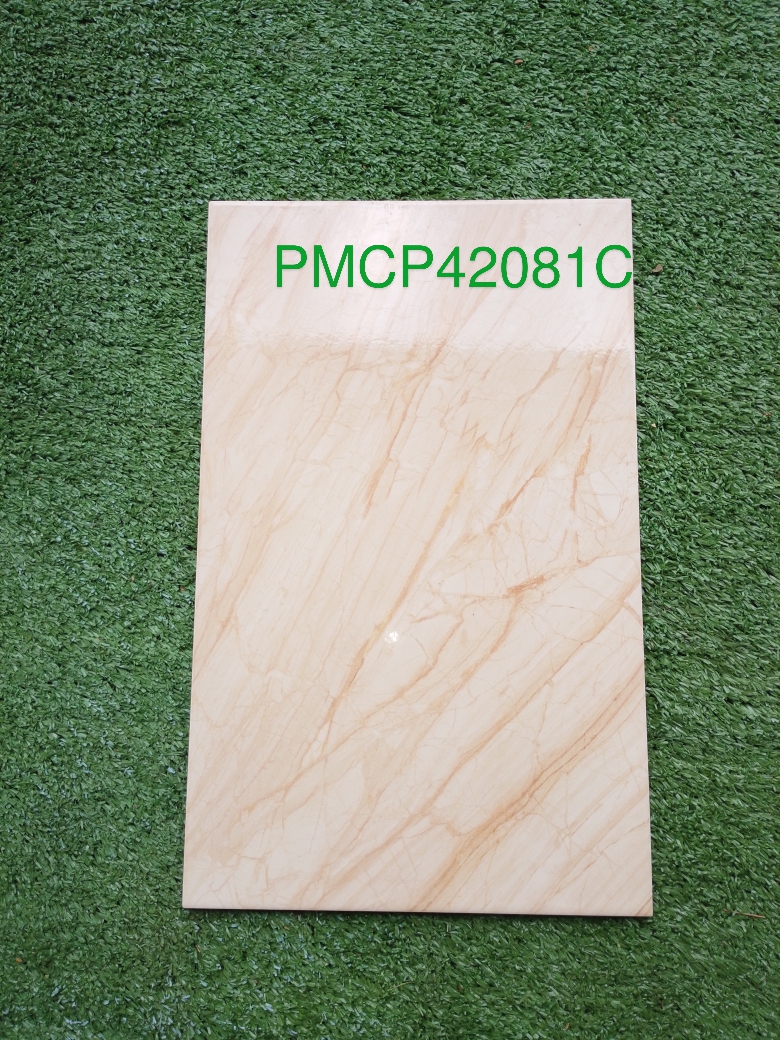 Decorative Wall Tile PMCP42081C