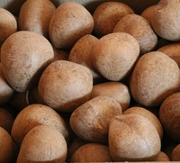 copra feed