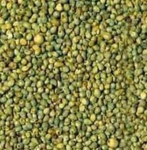  Green Millet