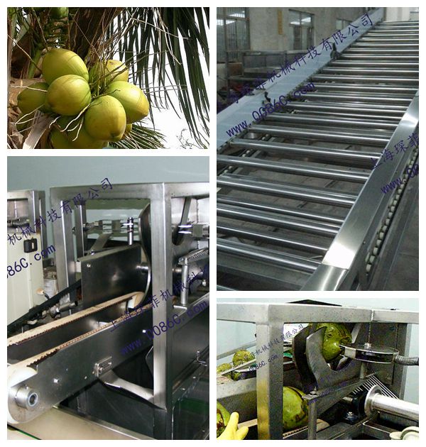 Coconut juice production line
